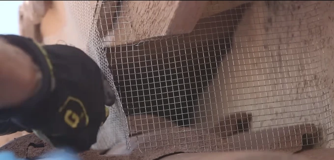 Rodent Control Process